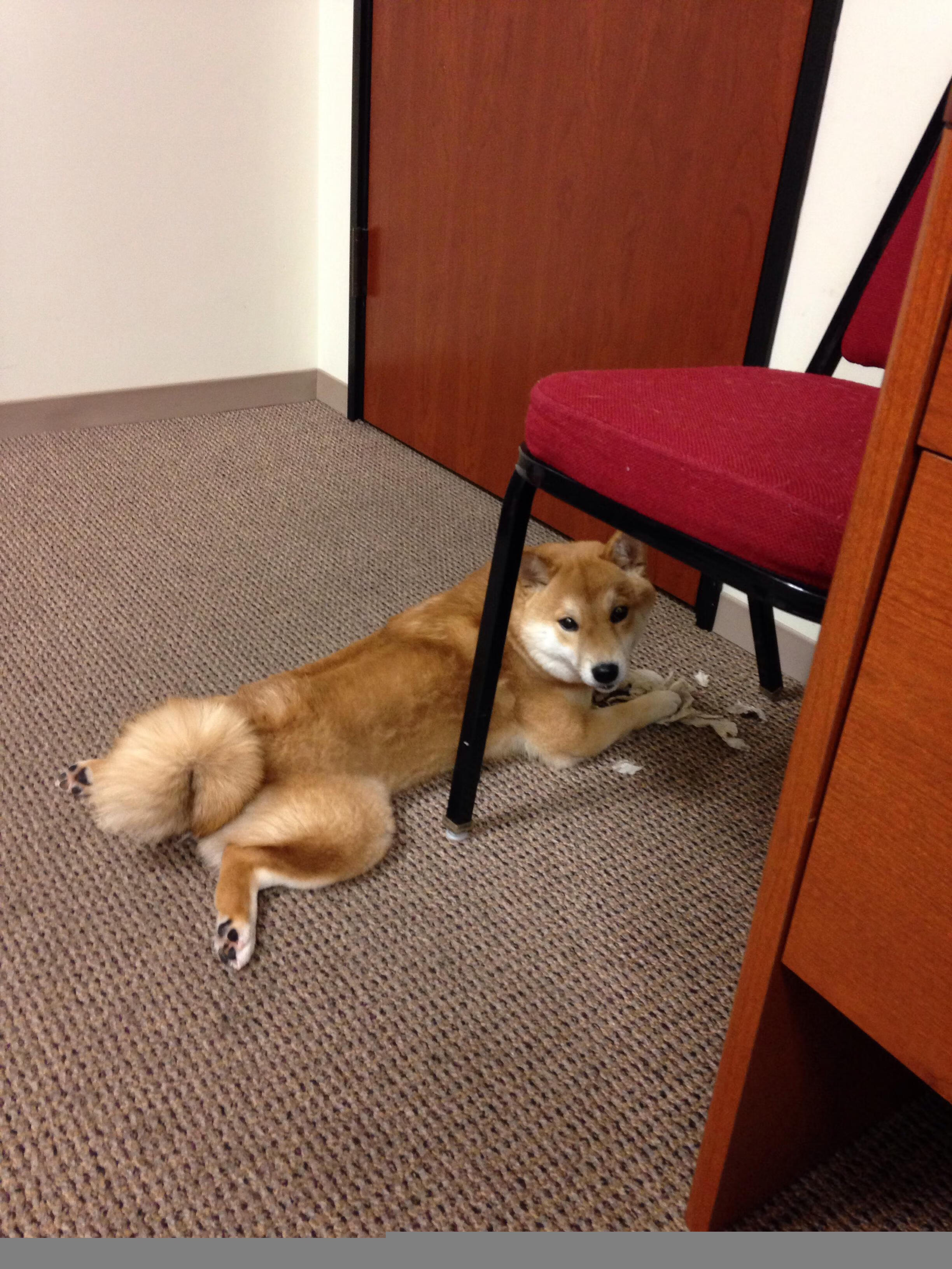 巴萨主场3-2战胜巴拉多利德,进攻端表现出色,巴萨主场3-2战胜巴拉多利德,进攻端表现出色的球员