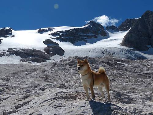 爱游戏体育-火箭青春风暴横扫对手，火箭青春风暴横扫对手是哪一集