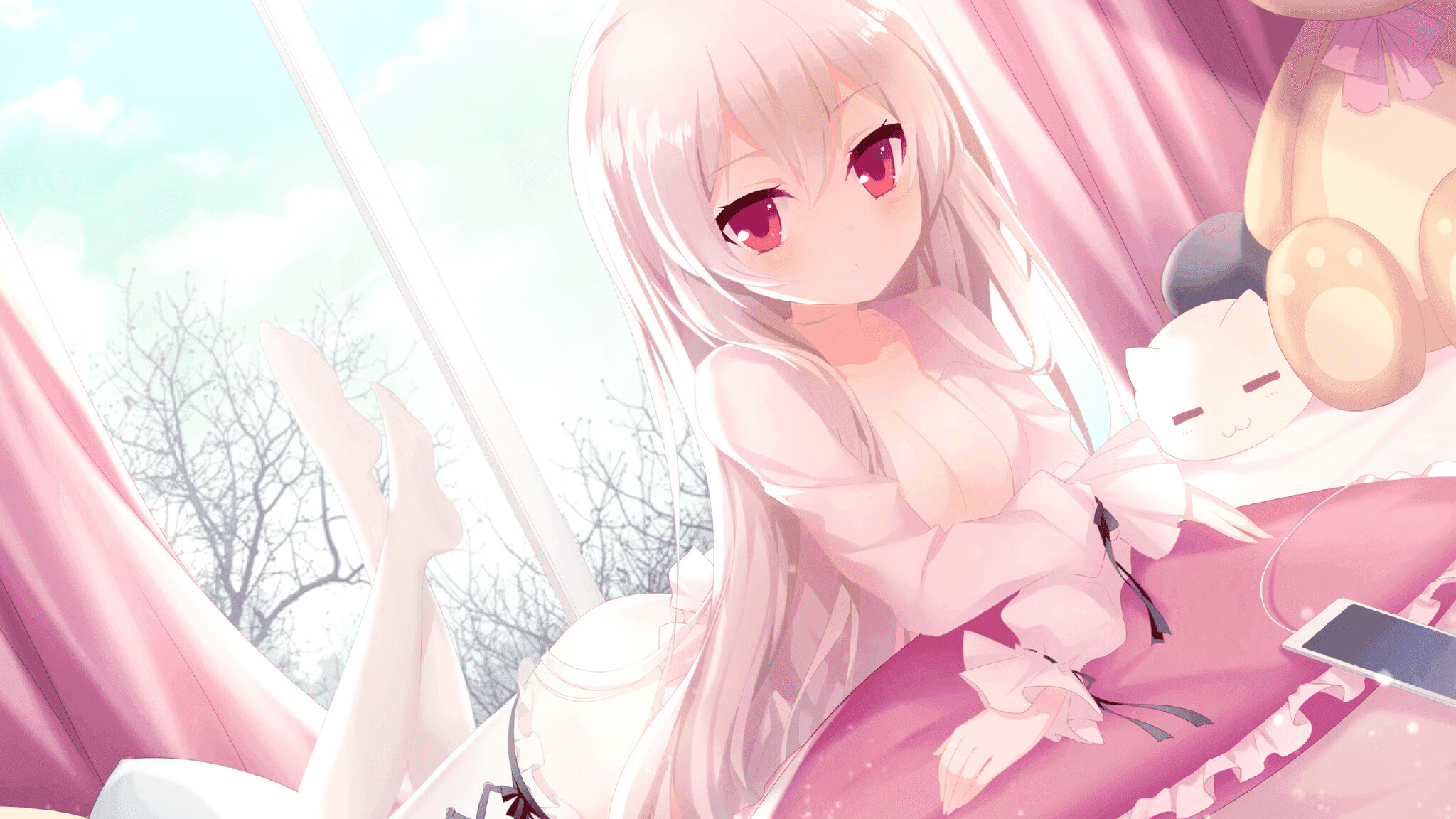 缅因凯尔特人队员战术执行力强，凯米尔缅因猫多少钱