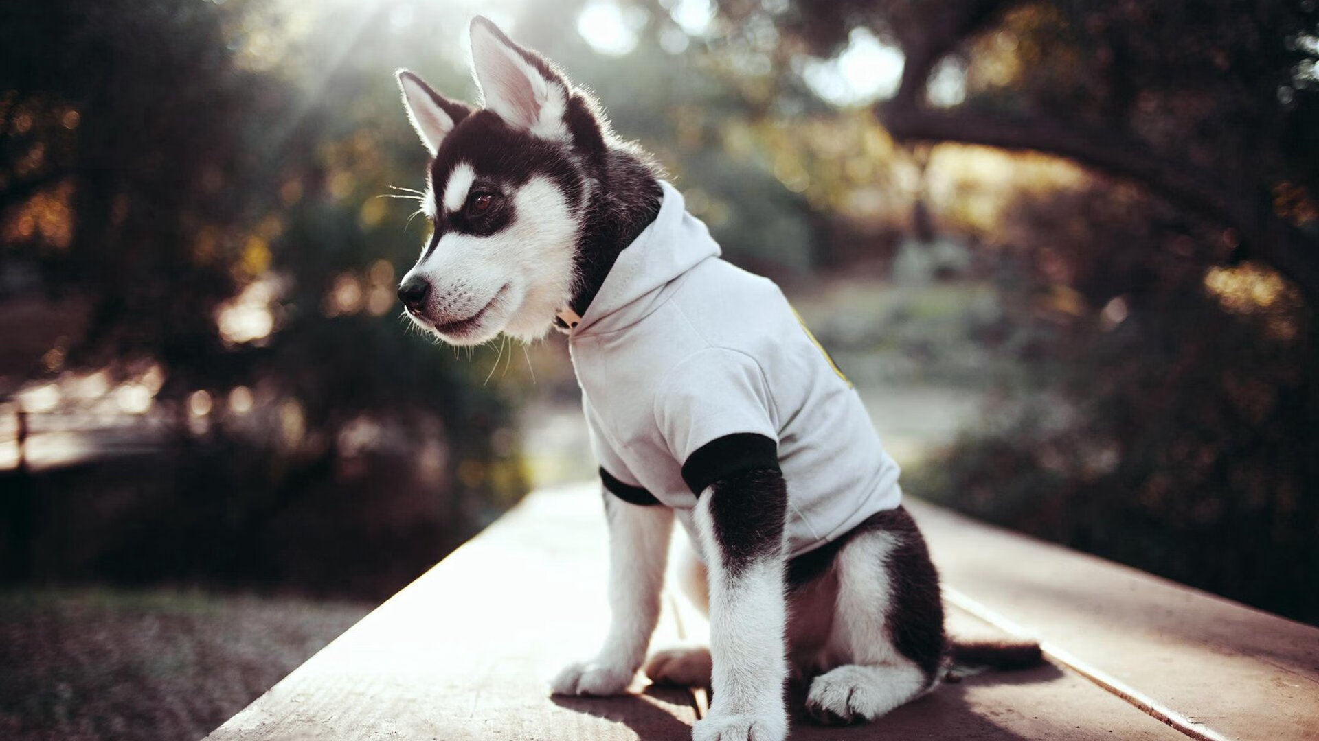 国足球员比赛热区分析,国足热身赛程