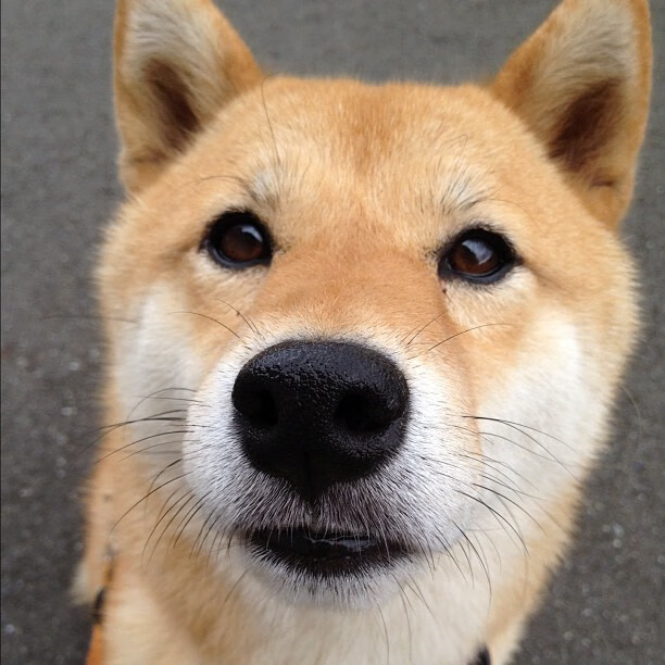 高校体育场馆开放管理与使用效率提升策略，高校体育场馆对外开放的意义