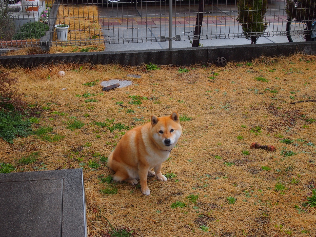 比赛数据可视化系统助力教练战术分析,数据可视化竞赛