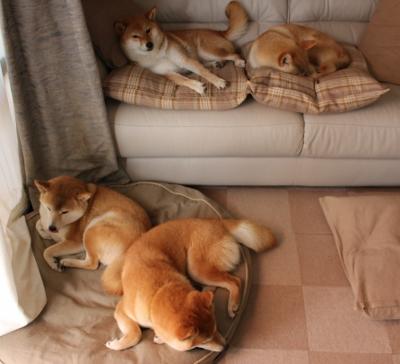 爱游戏官方网站-电竞青训体系逐步完善助力职业发展，电竞青训是啥意思