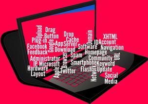 AYX SPORTS-CBA开展球员社交媒体管理课程提高职业素养，运动员社交媒体