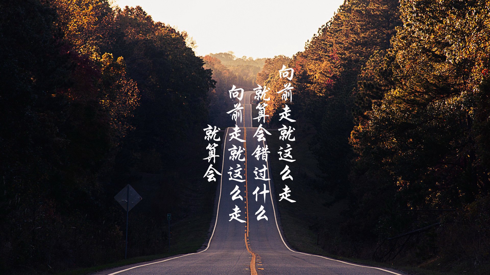 “安赫尔·巴尔博萨的精准进攻与战术执行力,助力美洲狮队在国际舞台屡创佳绩”