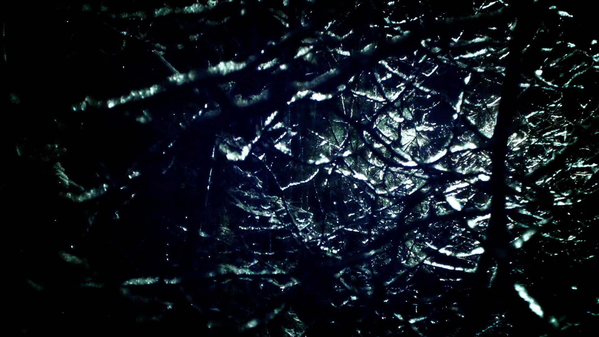 篮网加练结束后组织队内趣味游戏,篮网训练营什么时候开始