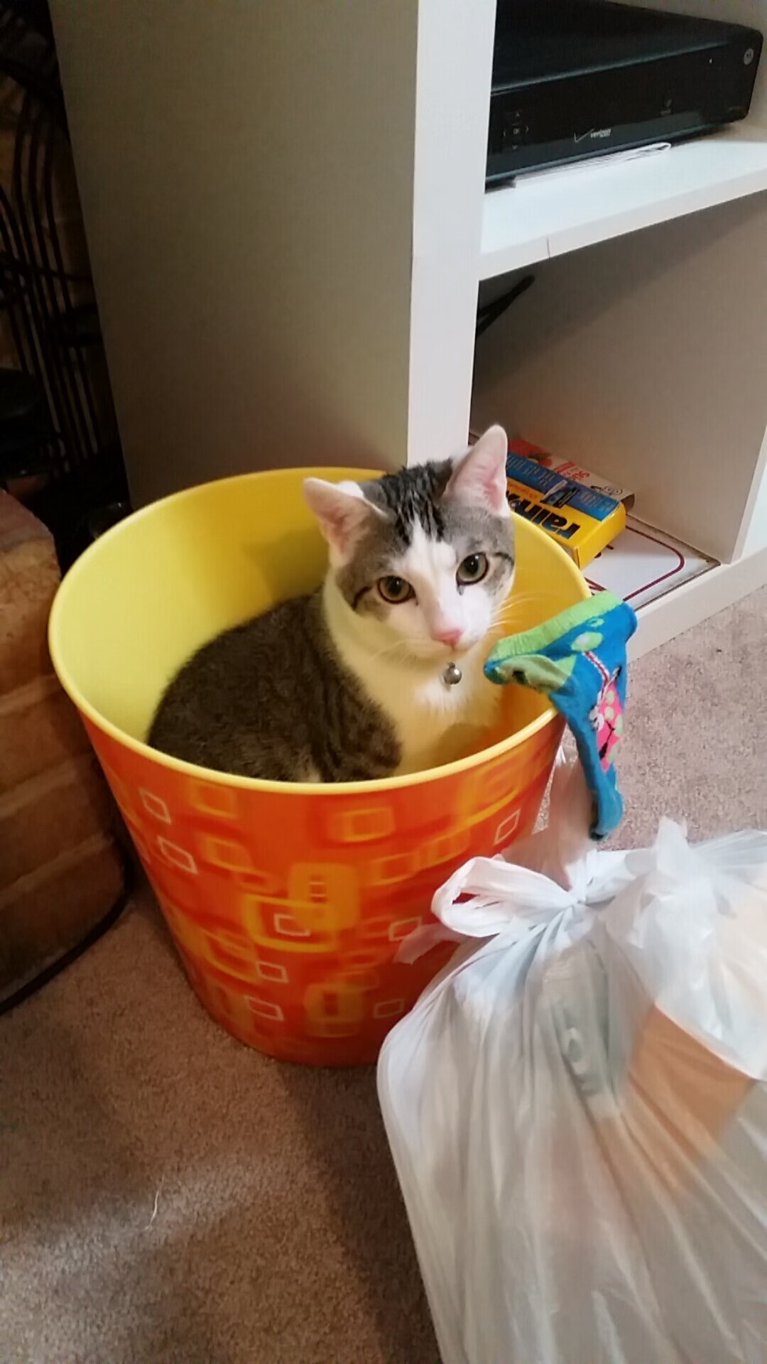 英超激烈拼搏:每场战斗都精彩绝伦!,英超争4