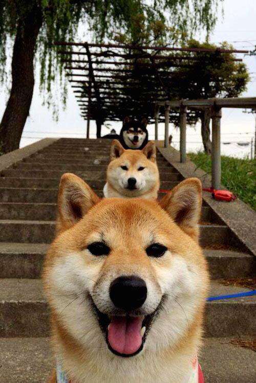 足球宝贝评选活动引发关注，展现球迷热情，足球宝贝哪个好看