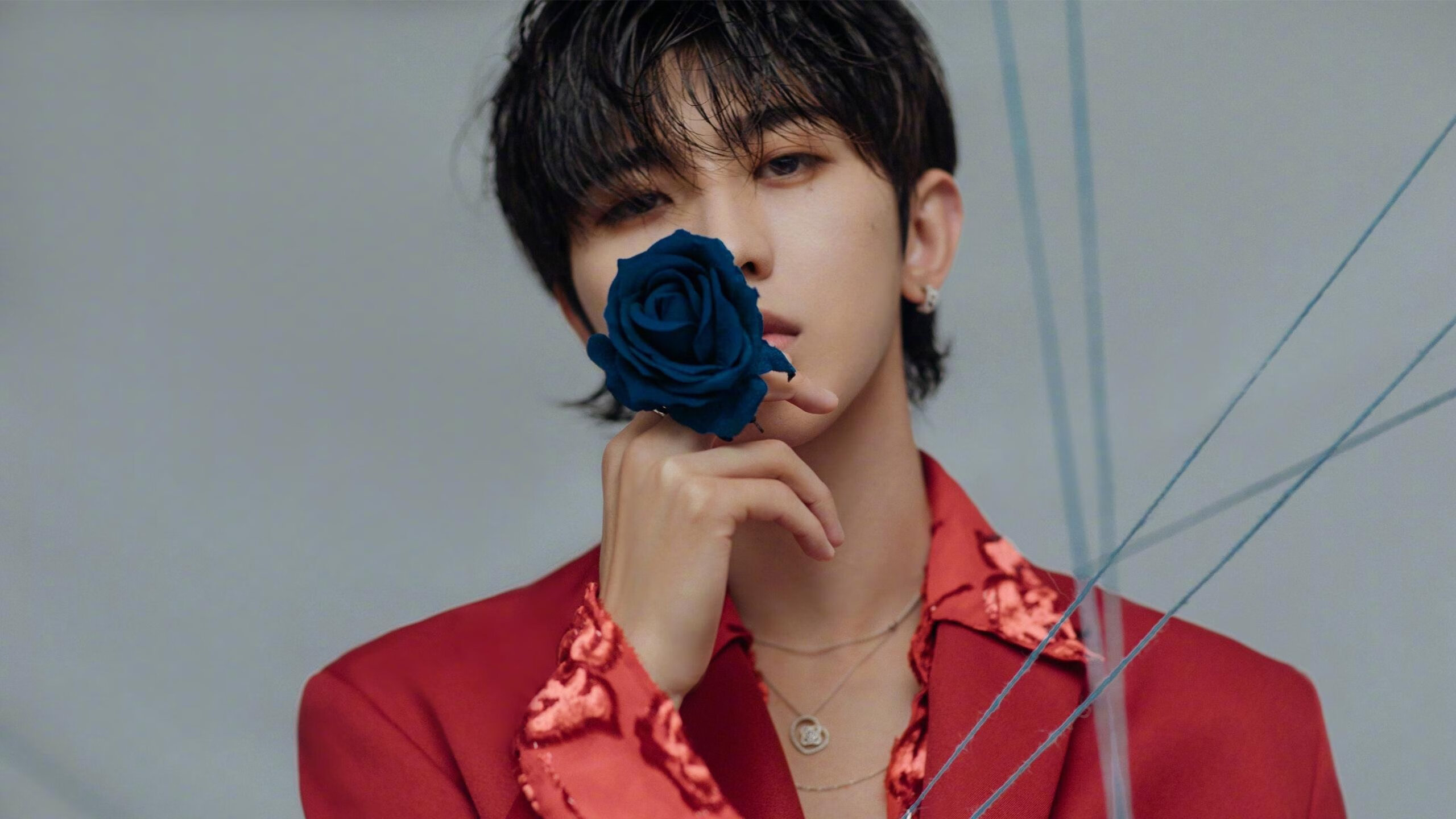 跳水半决赛荷兰力争突破,跳水半决赛视频